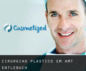 Cirurgião Plástico em Amt Entlebuch