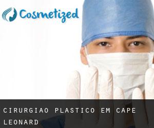 Cirurgião Plástico em Cape Leonard