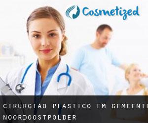 Cirurgião Plástico em Gemeente Noordoostpolder