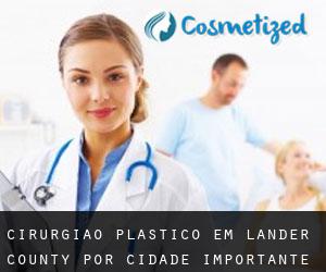 Cirurgião plástico em Lander County por cidade importante - página 1