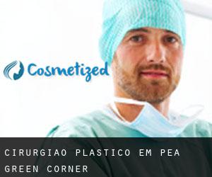 Cirurgião Plástico em Pea Green Corner