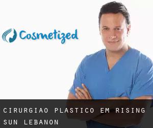 Cirurgião Plástico em Rising Sun-Lebanon