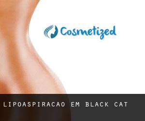 Lipoaspiração em Black Cat