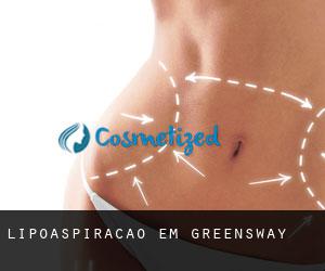 Lipoaspiração em Greensway