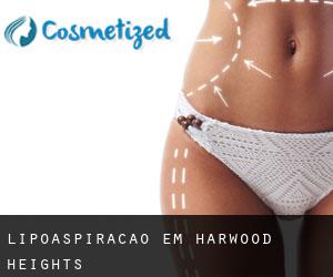 Lipoaspiração em Harwood Heights