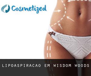 Lipoaspiração em Wisdom Woods