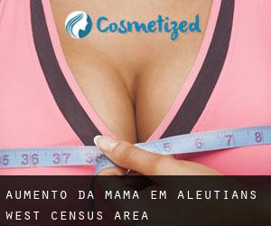 Aumento da mama em Aleutians West Census Area