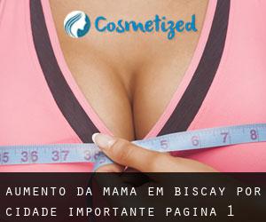 Aumento da mama em Biscay por cidade importante - página 1