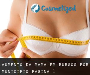 Aumento da mama em Burgos por município - página 1