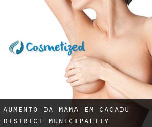 Aumento da mama em Cacadu District Municipality