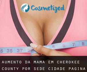 Aumento da mama em Cherokee County por sede cidade - página 1