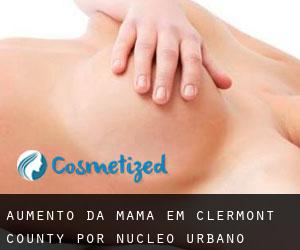 Aumento da mama em Clermont County por núcleo urbano - página 2