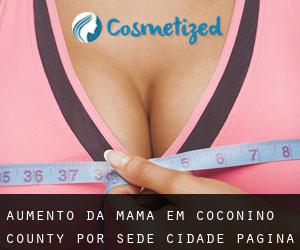 Aumento da mama em Coconino County por sede cidade - página 1