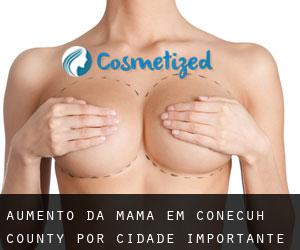 Aumento da mama em Conecuh County por cidade importante - página 1