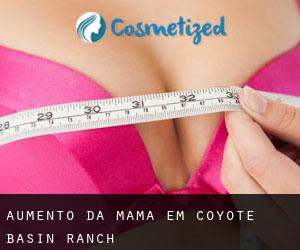 Aumento da mama em Coyote Basin Ranch