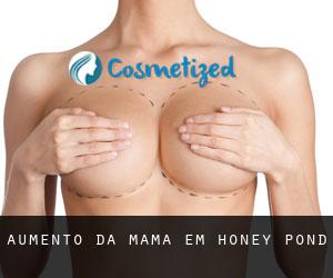 Aumento da mama em Honey Pond