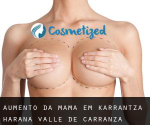 Aumento da mama em Karrantza Harana / Valle de Carranza