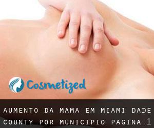 Aumento da mama em Miami-Dade County por município - página 1