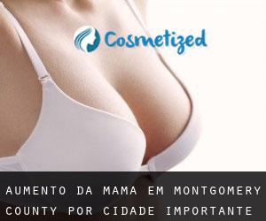 Aumento da mama em Montgomery County por cidade importante - página 1