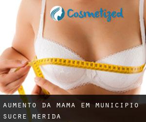 Aumento da mama em Municipio Sucre (Mérida)