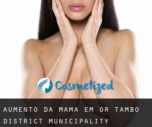 Aumento da mama em OR Tambo District Municipality