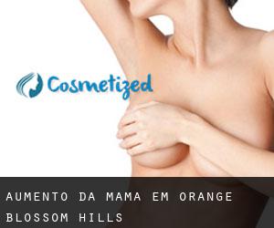 Aumento da mama em Orange Blossom Hills