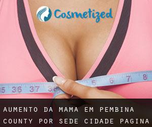 Aumento da mama em Pembina County por sede cidade - página 1