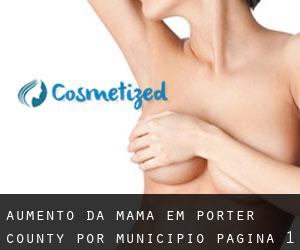 Aumento da mama em Porter County por município - página 1