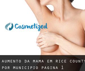 Aumento da mama em Rice County por município - página 1