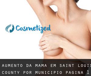 Aumento da mama em Saint Louis County por município - página 1