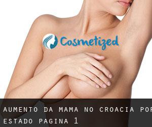 Aumento da mama no Croácia por Estado - página 1