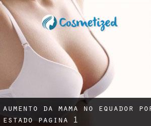 Aumento da mama no Equador por Estado - página 1