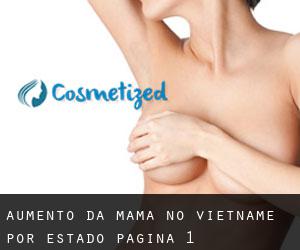 Aumento da mama no Vietname por Estado - página 1