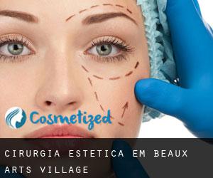 Cirurgia Estética em Beaux Arts Village