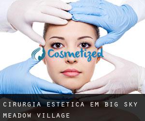 Cirurgia Estética em Big Sky Meadow Village
