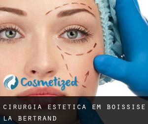 Cirurgia Estética em Boissise-la-Bertrand
