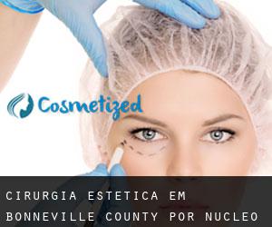 Cirurgia Estética em Bonneville County por núcleo urbano - página 1