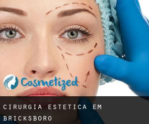 Cirurgia Estética em Bricksboro