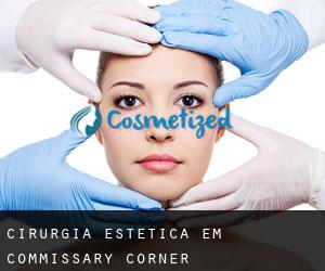 Cirurgia Estética em Commissary Corner