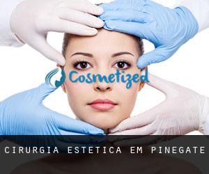 Cirurgia Estética em Pinegate