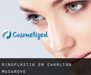 Rinoplastia em Charlton Musgrove