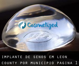 Implante de Senos em Leon County por município - página 1