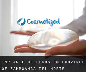 Implante de Senos em Province of Zamboanga del Norte