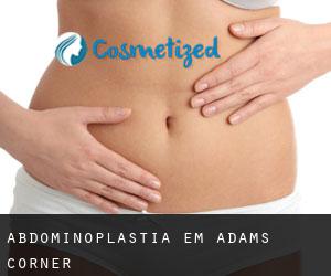 Abdominoplastia em Adams Corner