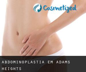 Abdominoplastia em Adams Heights
