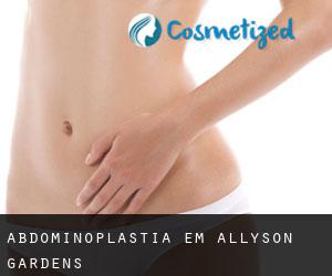 Abdominoplastia em Allyson Gardens