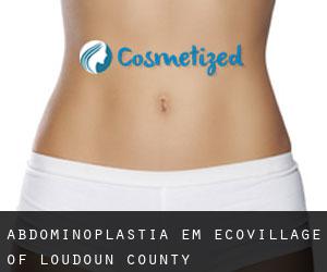 Abdominoplastia em EcoVillage of Loudoun County