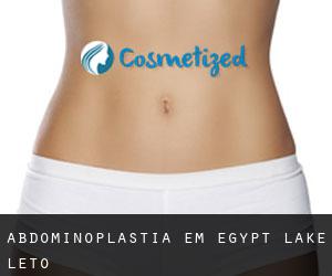 Abdominoplastia em Egypt Lake-Leto