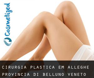 cirurgia plástica em Alleghe (Provincia di Belluno, Veneto)