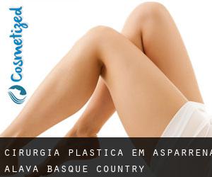 cirurgia plástica em Asparrena (Alava, Basque Country)